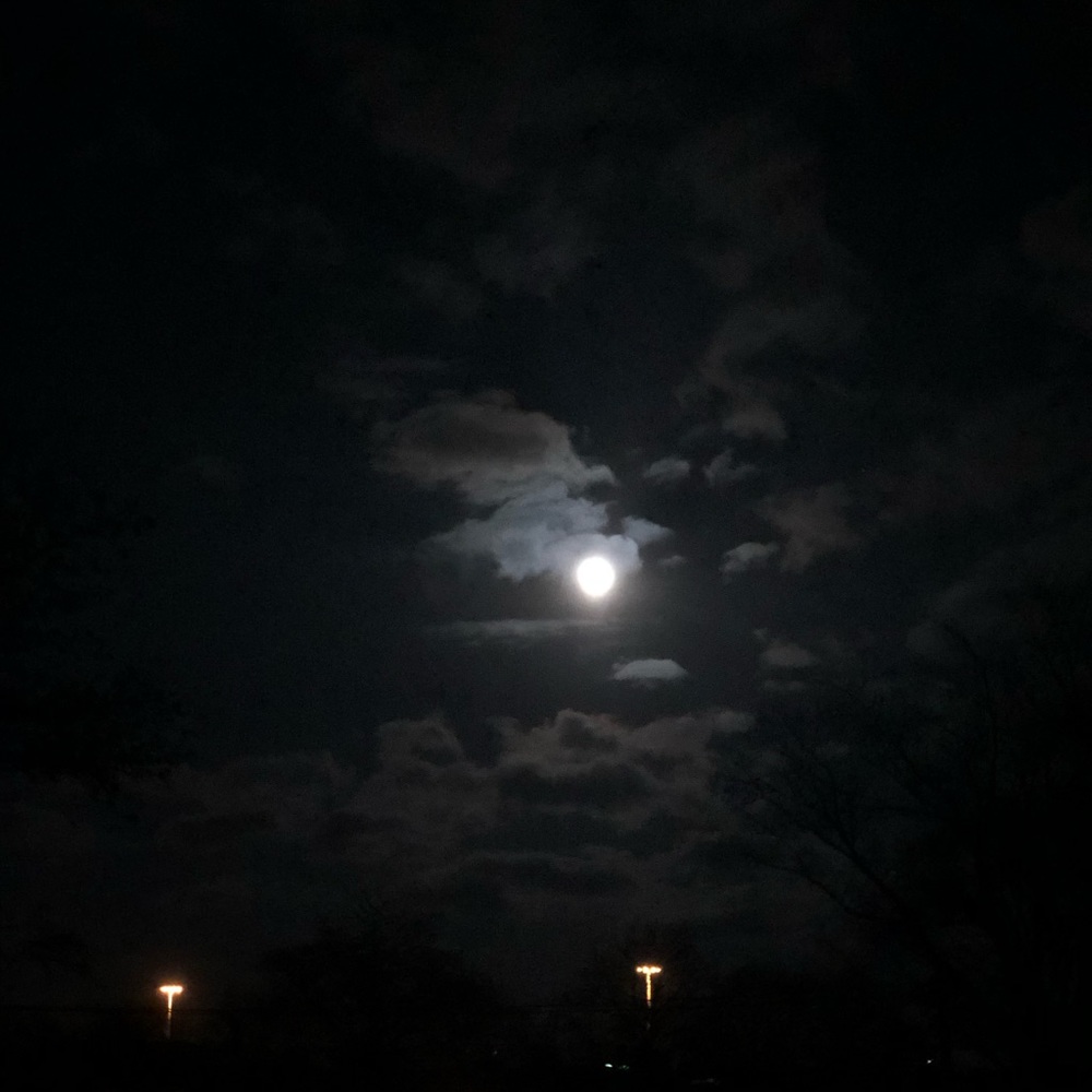 Meet your Posher, Layton